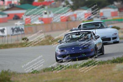 media/Feb-25-2024-Touge2Track (Sun) [[ed4a1e54f3]]/Green/Morning session/Turn 2/